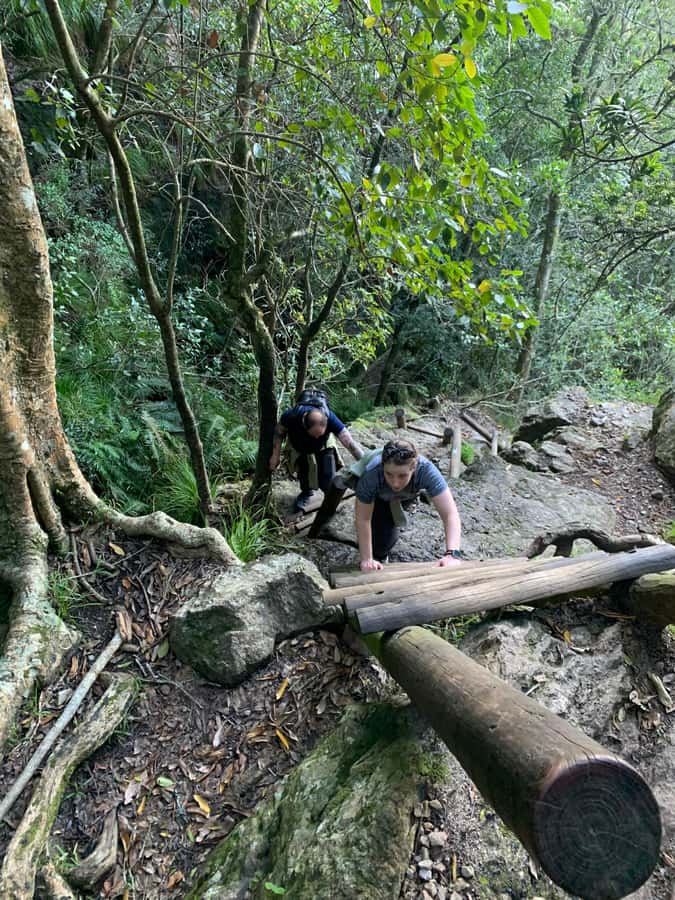 Cape Town: Skeleton Gorge and Kirstenbosch Gardens Hike - Ladders, waterfalls, and polished rock