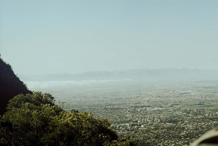 Cape Town: Skeleton Gorge and Kirstenbosch Gardens Hike - What the guides add to the walk