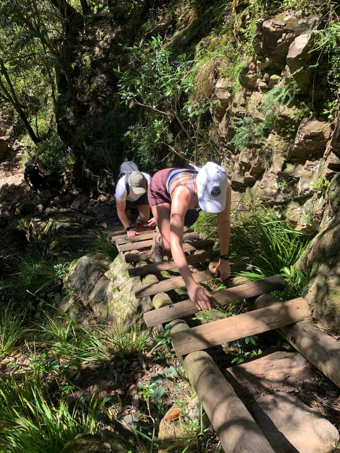 Cape Town: Skeleton Gorge and Kirstenbosch Gardens Hike - How hard is the hike in real terms?
