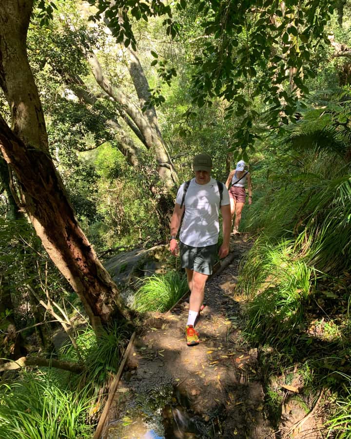 Cape Town: Skeleton Gorge and Kirstenbosch Gardens Hike - Starting at Kirstenbosch and following Smuts Track