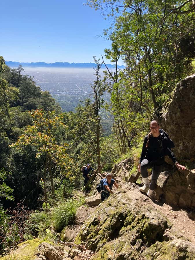 Cape Town: Skeleton Gorge Hike to Table Mountain Summit - Rycroft Gate and the Kirstenbosch start