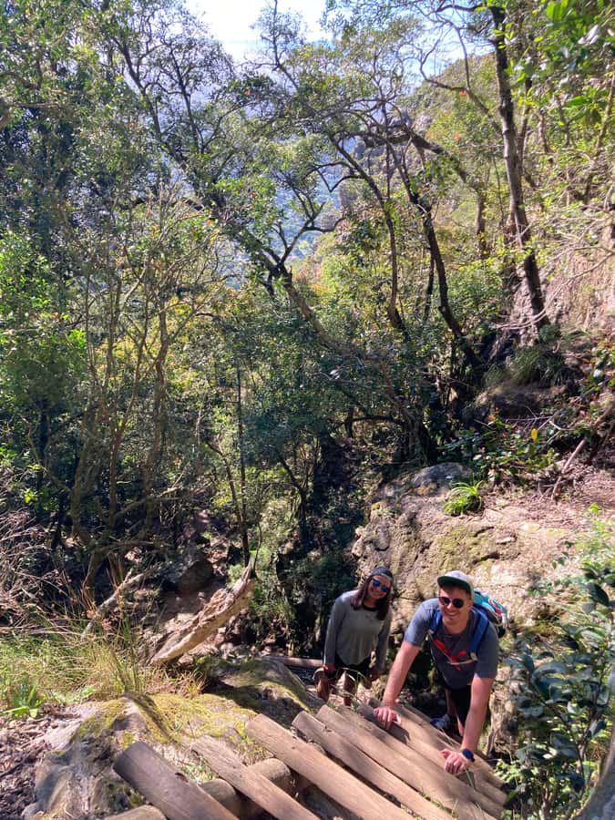 Cape Town: Skeleton Gorge Hike to Table Mountain Summit - What the $112 price really covers