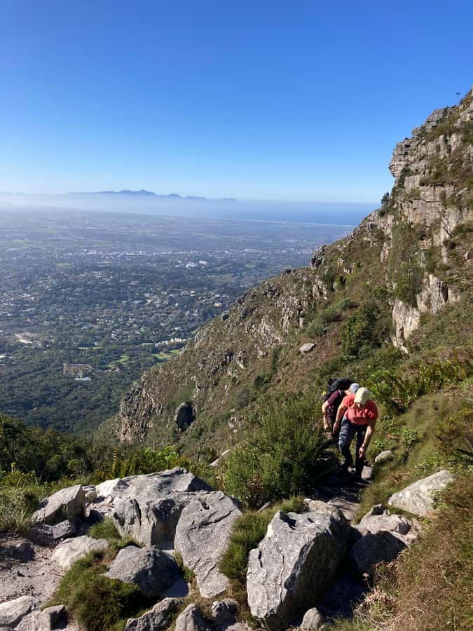 Cape Town: Skeleton Gorge Hike to Table Mountain Summit - The forest climb through Skeleton Gorge