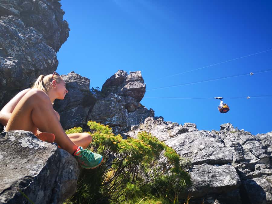 Cape Town: Table Mountain Half–Day India Venster Hike - Key points at a glance