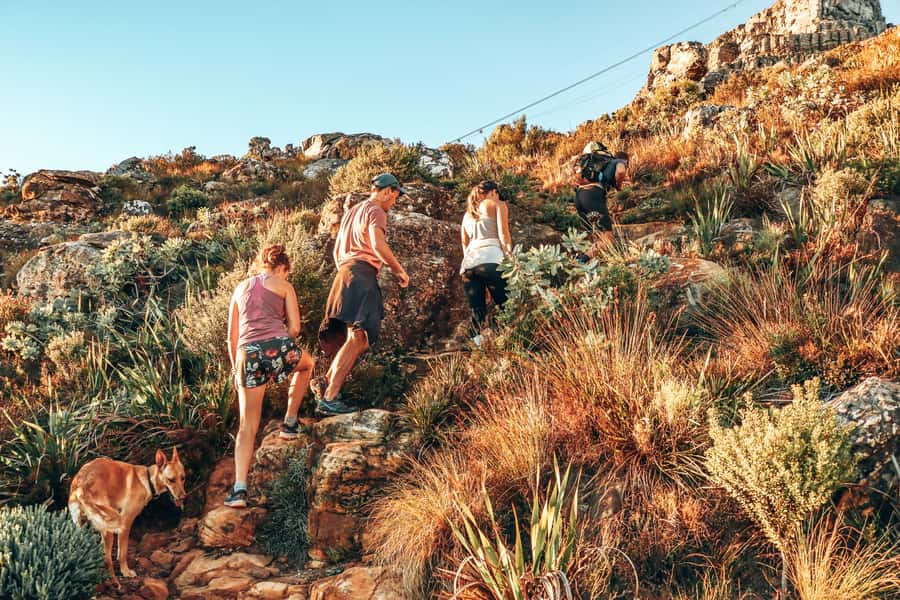 Cape Town: Table Mountain Hike via India Venster - The first views over Cape Town