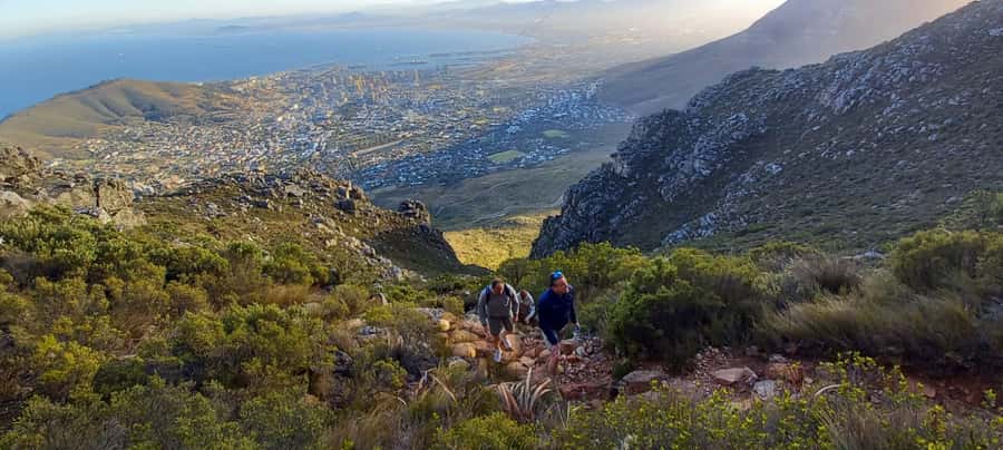 Cape Town: Table Mountain Hike via India Venster Morning - Meeting point, pickup, and timing