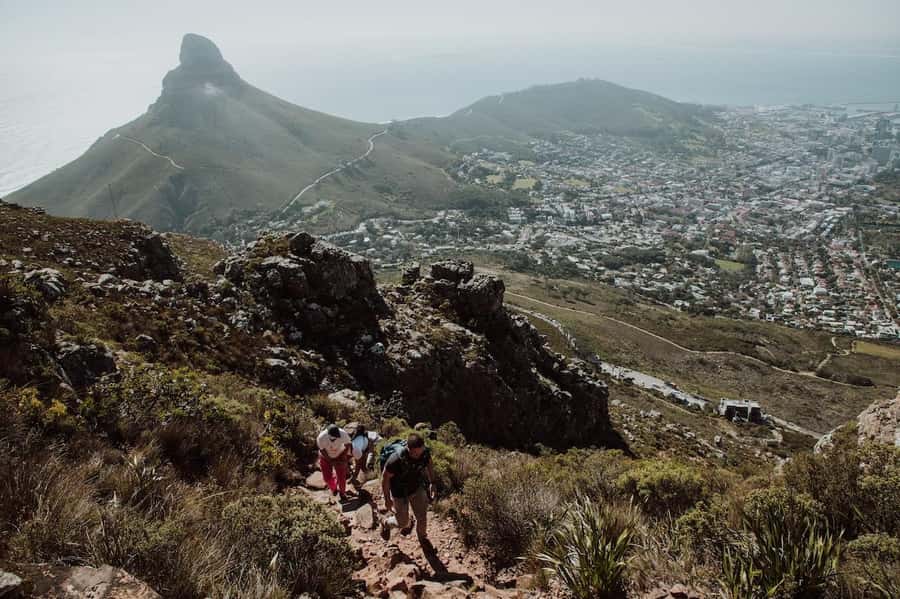 Cape Town: Table Mountain Hike with an Experienced Guide - Choosing between Table Mountain and Lion’s Head