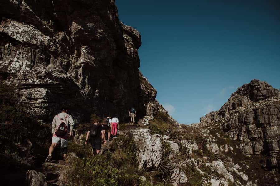 Cape Town: Table Mountain Hike with an Experienced Guide - Skeleton Gorge brings forest and fynbos