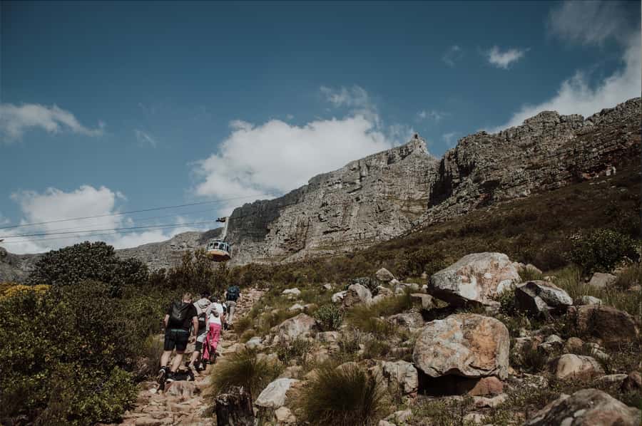Cape Town: Table Mountain Hike with an Experienced Guide - The walking itself, from briefing to summit