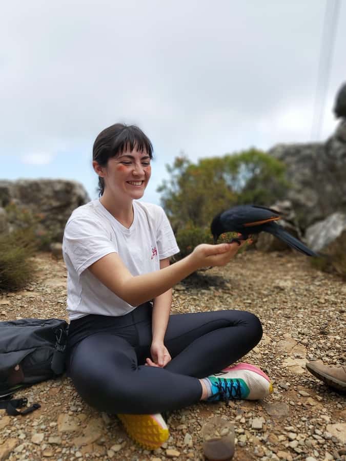 Cape Town: Table Mountain Hike with an Expert Guide - Climbing Table Mountain instead of simply riding up