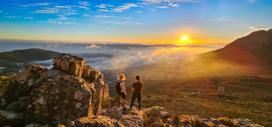 Cape Town: Table Mountain Hike with an Expert Guide - Fynbos, wildlife, and the Cape Floral Kingdom