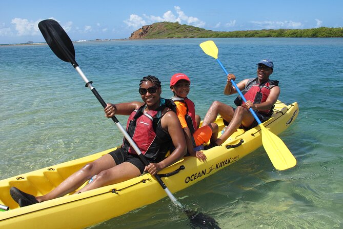 Cas Cay - Kayak Hike and Snorkel Adventure - Kayaking among St. Thomas’s red mangroves
