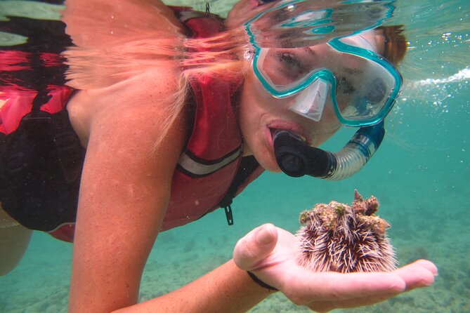 Cas Cay - Kayak Hike and Snorkel Adventure - Who will enjoy this St. Thomas excursion