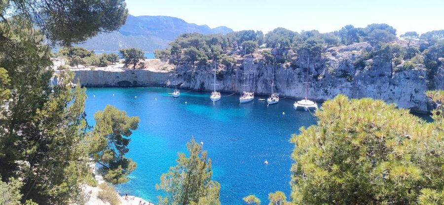 Cassis: 3 Calanques Half-Day Hiking Tour with Swimming - The guide’s role and the value of local context