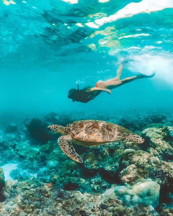 Cebu: Osmeña Peak hike and Sardines Run Snorkel adventure - Why this Cebu combination works so well