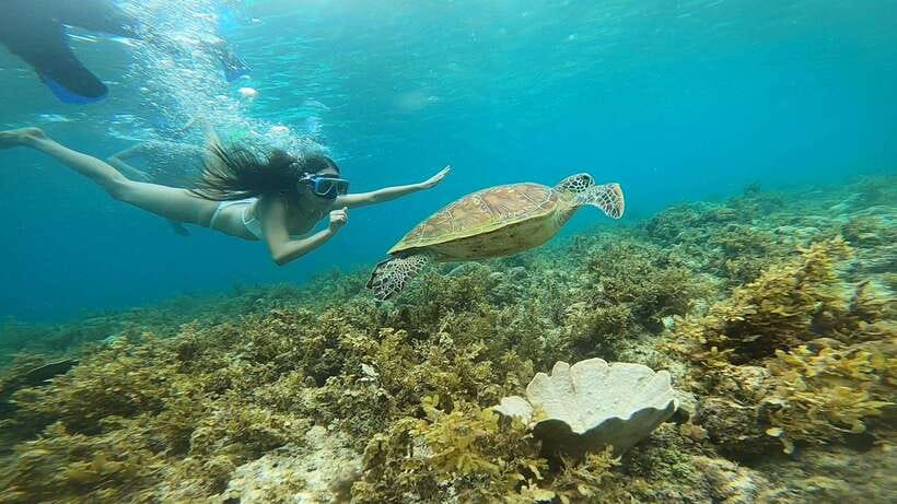Cebu: Osmeña Peak hike and Sardines Run Snorkel adventure - The guide and transport can shape the experience