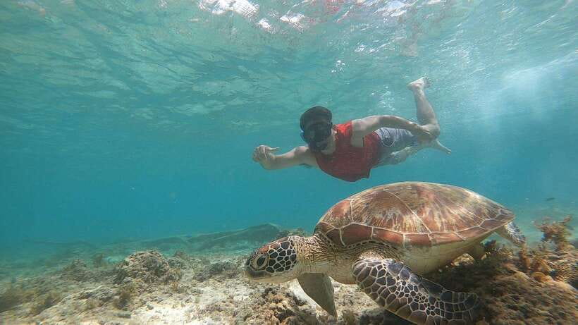 Cebu: Osmeña Peak hike and Sardines Run Snorkel adventure - What to pack for the mountain and water