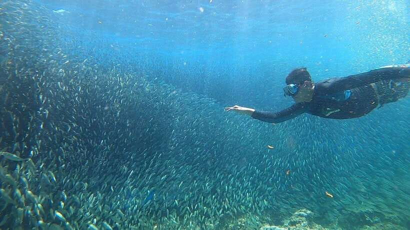 Cebu: Osmeña Peak hike and Sardines Run Snorkel adventure - Booking, cancellation, and practical flexibility