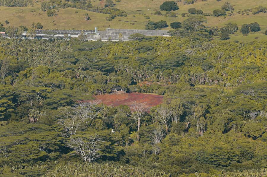 Chamarel: Sunset Mountain Hike - What you learn along the trail