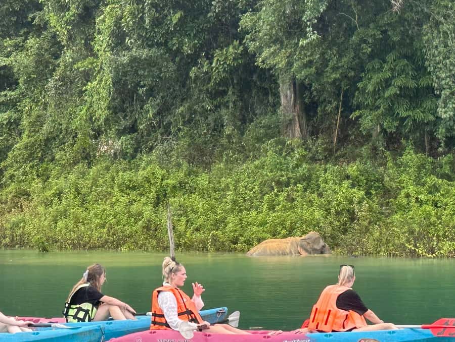 Cheow Larn Lake - Hiking - Cave Explore - Wildlife Safari - Hiking through Klong Seang National Park