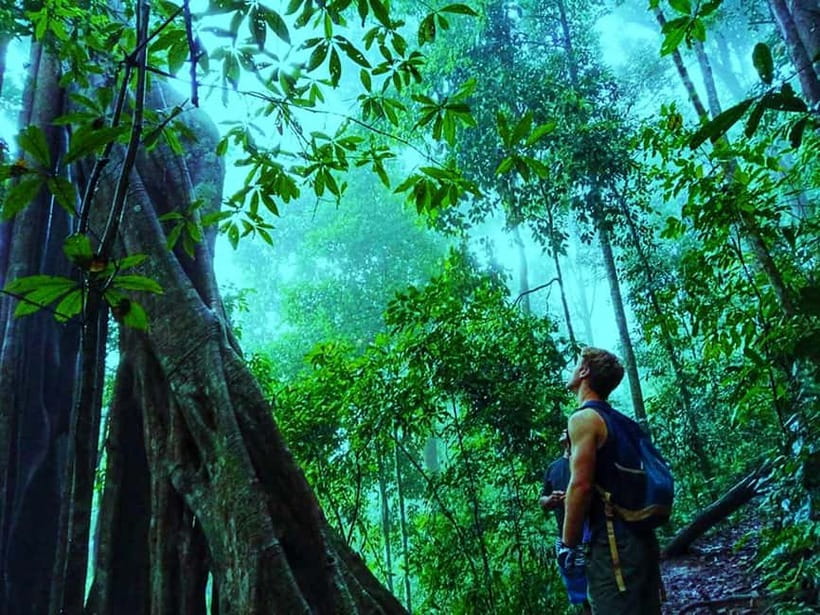 Chiang Mai: 7-Hour Doi Suthep National Park Summit Hiking - What to wear and pack