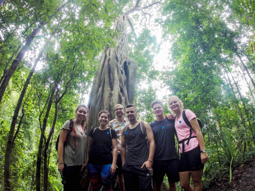 Chiang Mai: 7-Hour Doi Suthep National Park Summit Hiking - A mountain day that earns its views
