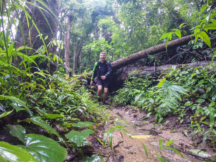 Chiang Mai: 7-Hour Doi Suthep National Park Summit Hiking - Wat Phra That Doi Suthep and the city below