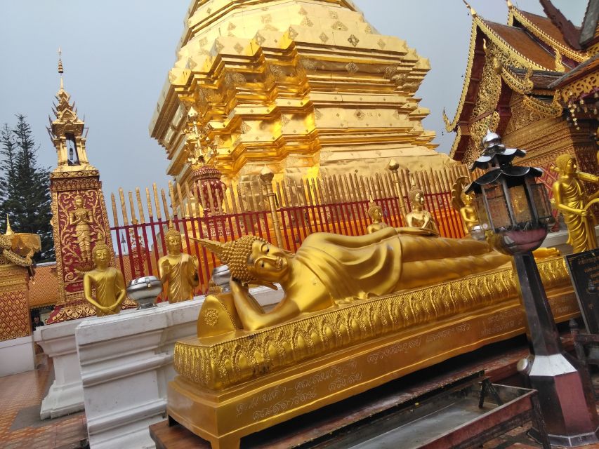Chiang Mai: 7-Hour Doi Suthep National Park Summit Hiking - Into Doi Suthep-Pui National Park