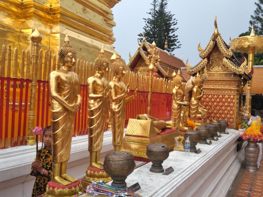 Chiang Mai: 7-Hour Doi Suthep National Park Summit Hiking - Doi Pui, the Hmong village area, and the payoff