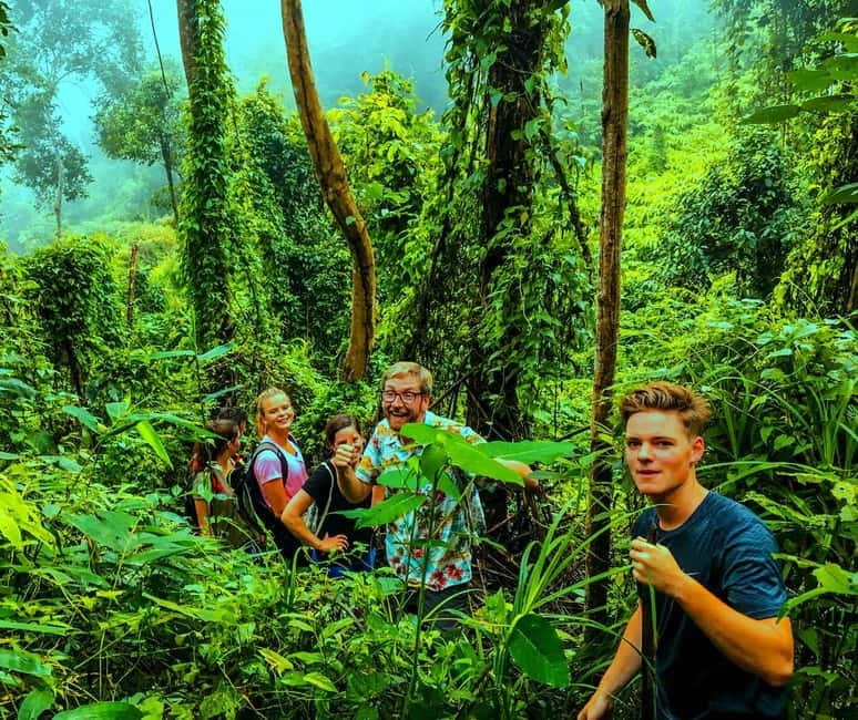 Chiang Mai: 7-Hour Doi Suthep National Park Summit Hiking - Guides, safety, and the small-group advantage