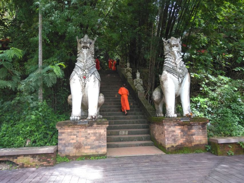 Chiang Mai: 7-Hour Doi Suthep National Park Summit Hiking - Getting started with transport and a safety briefing