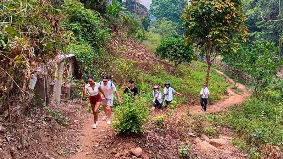 Chiang Mai: ATV Adventure, Jungle Hike & White Water Rafting - Pad Thai between the activities