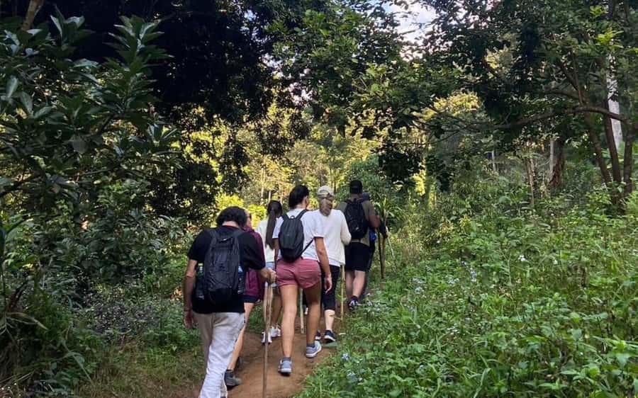 Chiang Mai: ATV Adventure, Jungle Hike & White Water Rafting - Is $87 good value?
