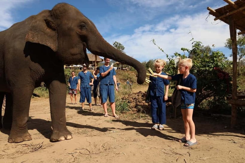Chiang Mai: Doi Inthanon Hiking & Elephant Sanctuary Program - Why this Chiang Mai day trip works
