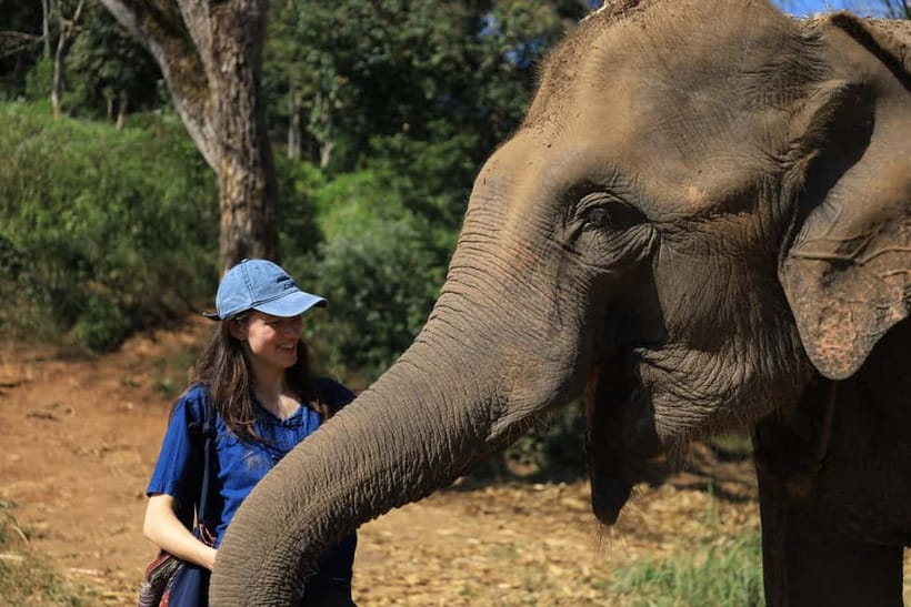 Chiang Mai: Doi Inthanon Hiking & Elephant Sanctuary Program - Living Green Elephant Sanctuary: respectful contact first