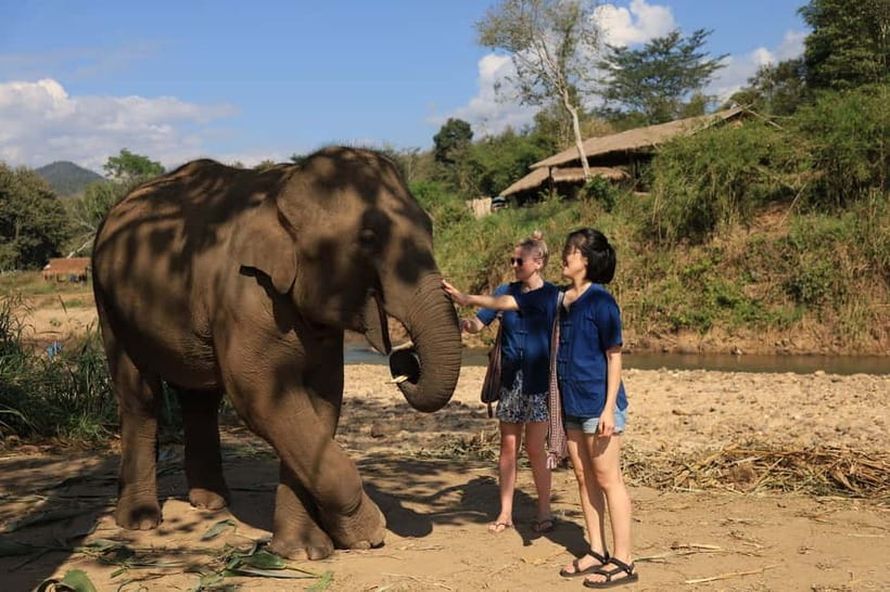 Chiang Mai: Doi Inthanon Hiking & Elephant Sanctuary Program - Karen coffee farm: a useful local finish
