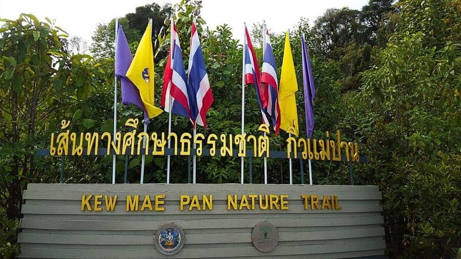 Chiang Mai:Doi Inthanon National Park & Hike at Kew Mae Pan - Coffee in Ban Mae Klang Luang
