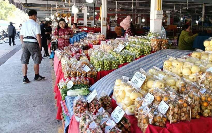 Chiang Mai:Doi Inthanon National Park & Hike at Kew Mae Pan - Who Will Enjoy This Day Most