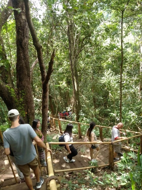 Chiang Mai: Doi Inthanon Park and Pha Dok Siew Hike Day Trip - Guides, group size, and the quality of the day