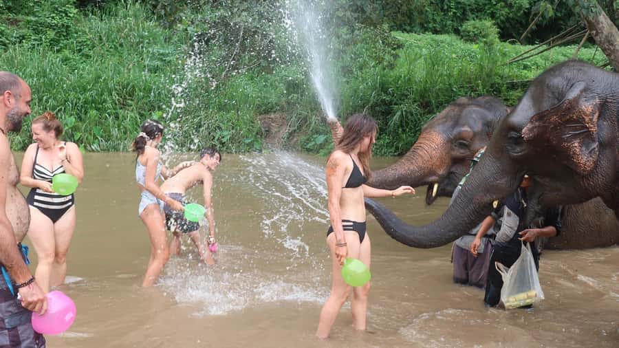 Chiang Mai: Doi Inthanon Park Hiking & Elephants Sanctuary - From Chiang Mai to a forest home for elephants