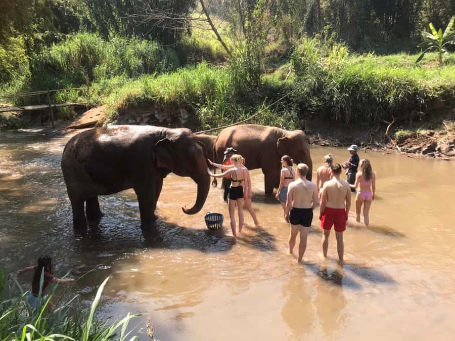 Chiang Mai: Doi Inthanon Park Hiking & Elephants Sanctuary - Should you book this Doi Inthanon tour?