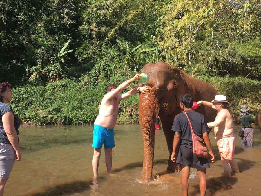 Chiang Mai: Doi Inthanon Park Hiking & Elephants Sanctuary - Walking the Pha Dok Siew Nature Trail