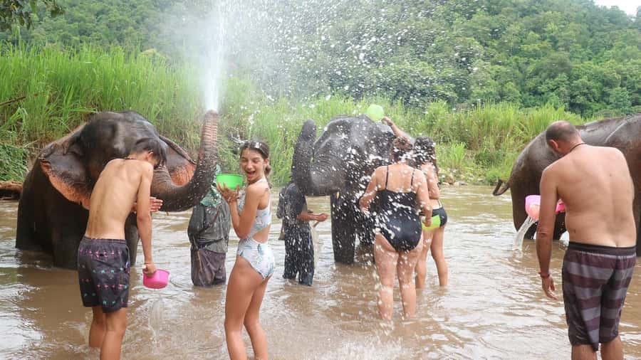 Chiang Mai: Doi Inthanon Park Hiking & Elephants Sanctuary - Guides, group size, and the pace of the day