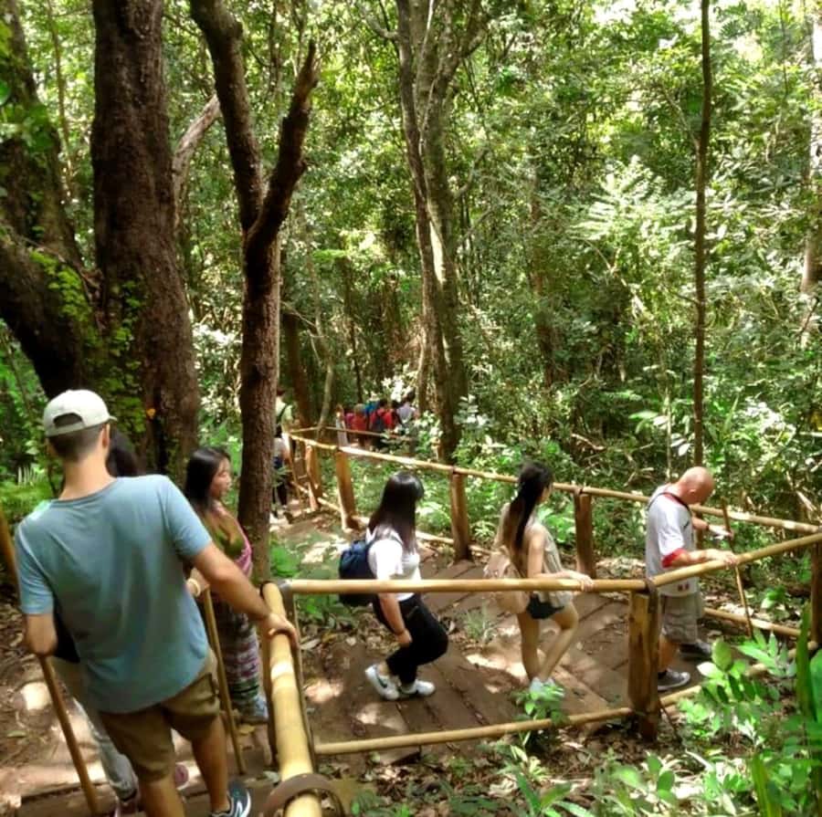 Chiang Mai: Doi Inthanon Park Hiking & Elephants Sanctuary - Who gets the best value from the $76 price