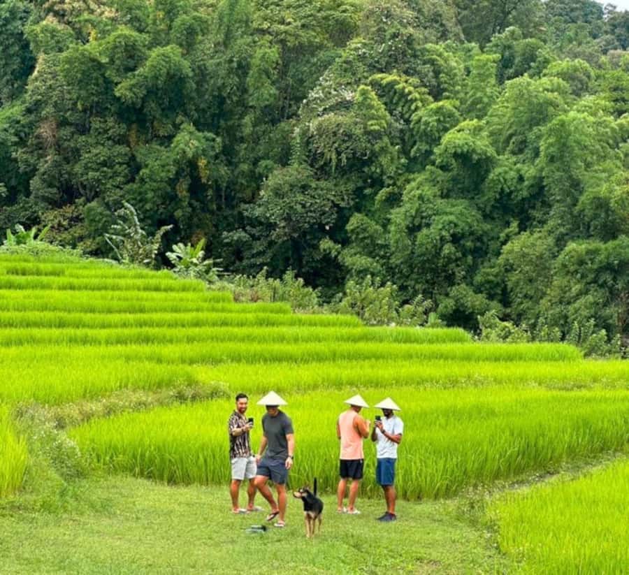 Chiang Mai: Doi Inthanon Park Hiking & Elephants Sanctuary - Lunch before the mountain sights