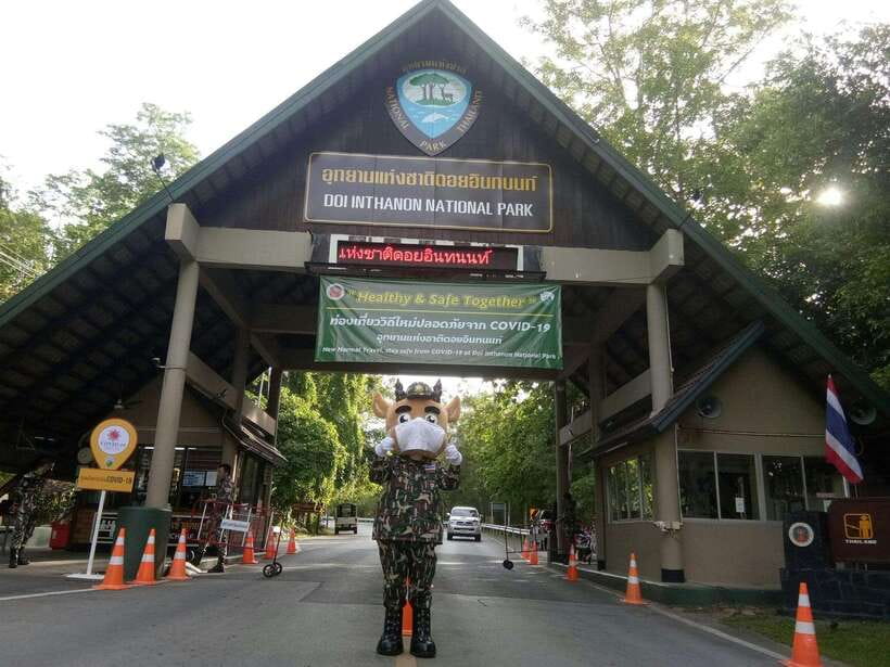 Chiang Mai: Doi Inthanon Park Tour & Kew Mae Pan Trail Hike - Thailand’s highest point