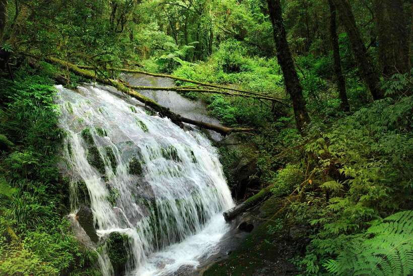 Chiang Mai: Doi Inthanon Park Tour & Kew Mae Pan Trail Hike - Lunch, group size, and what the price covers