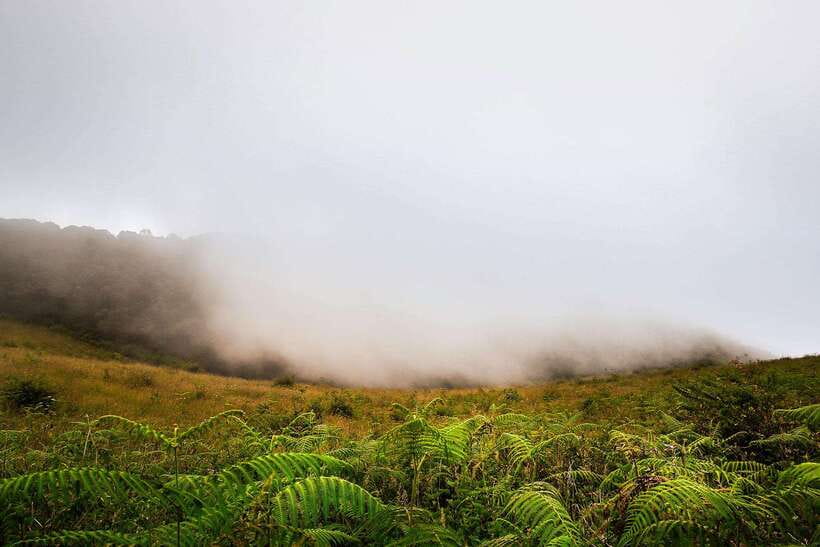 Chiang Mai: Doi Inthanon Park Tour & Kew Mae Pan Trail Hike - What to wear and pack for the mountain
