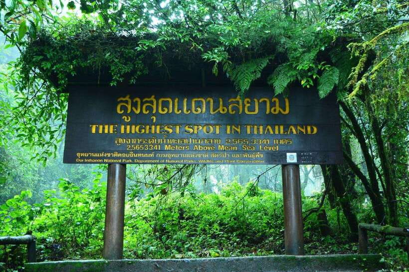 Chiang Mai: Doi Inthanon Park Tour & Kew Mae Pan Trail Hike - The early pickup and the long ride uphill