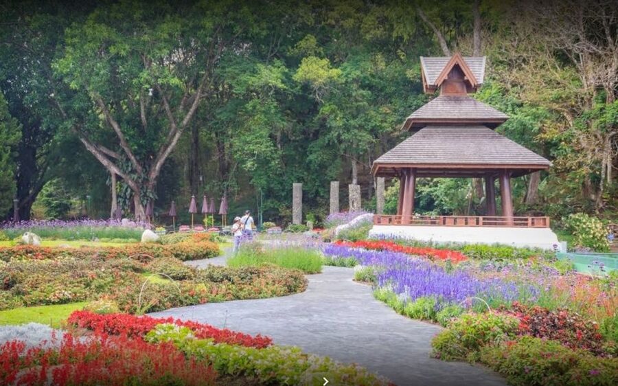 Chiang Mai: Doi Suthep National Park Leisure Hiking & Biking - Fitness, clothing, and the right kind of cyclist